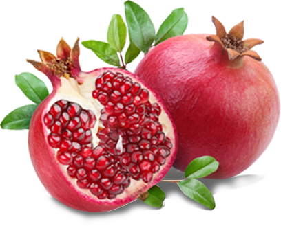 Pomegranate harvest